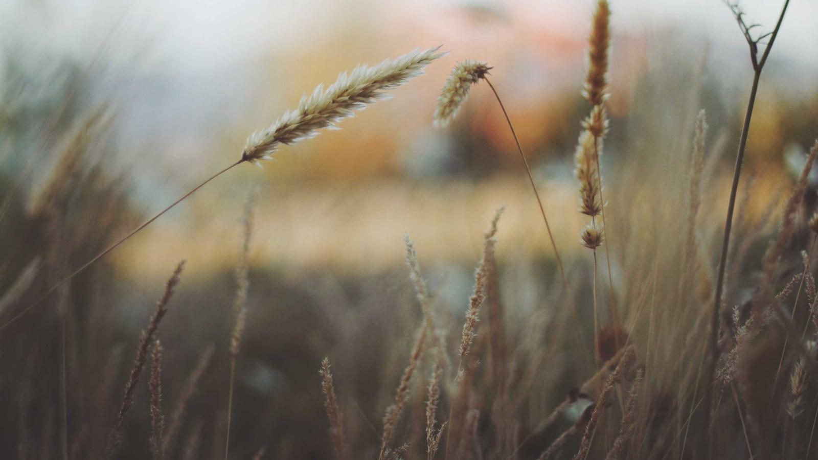 Angebote, Rechner und Notizen fuer den Vergleich eines Heizungswechsels