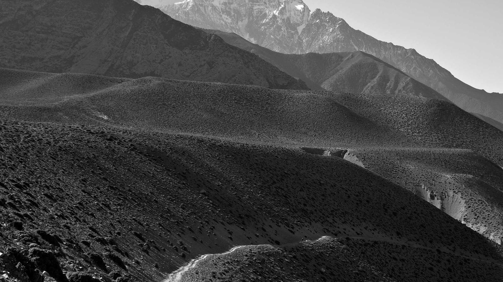 Planungsunterlagen für die Entscheidung zwischen Hybridheizung und anderen Heizsystemen im Bestand.