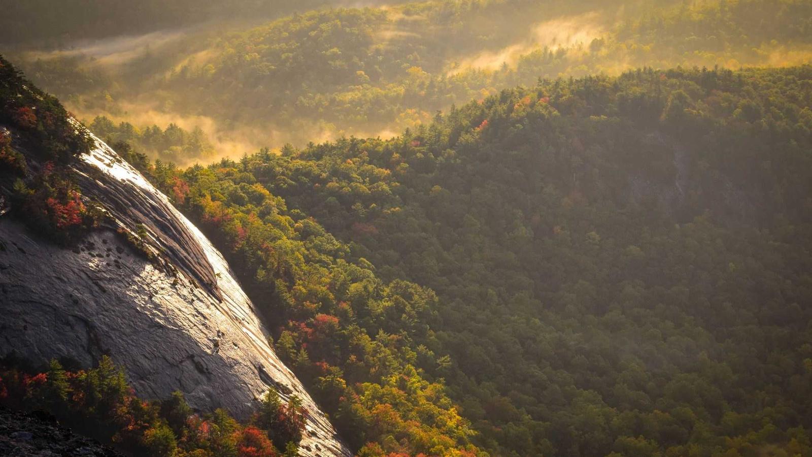 Technikraum mit Heizungsanlage im Bestand